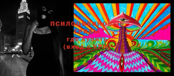 амф Алексин